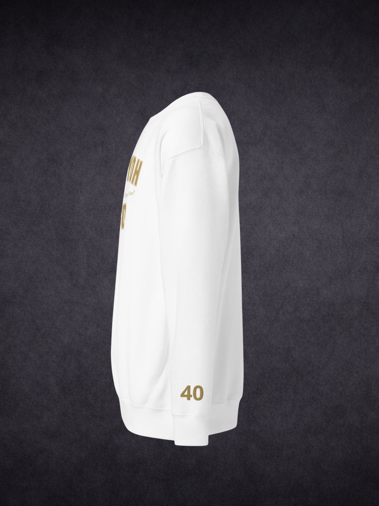 Step Up To The Plate – MJCYDH Custom Testimony Sweatshirt