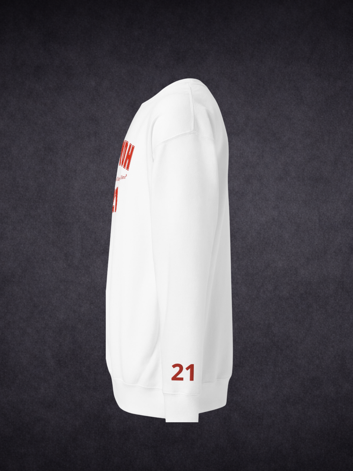 Step Up To The Plate – MJCYDH Custom Testimony Sweatshirt